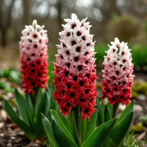 Гиацинт Скай Гарден купить по цене от 2099р. в интернет-магазине «Посадика» с доставкой почтой в в Канаше и по всей России – [изображение №1].